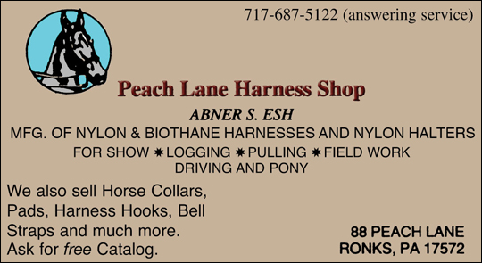 Peach Lane Harness