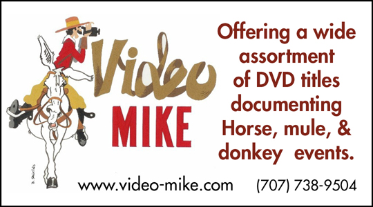 Video Mike