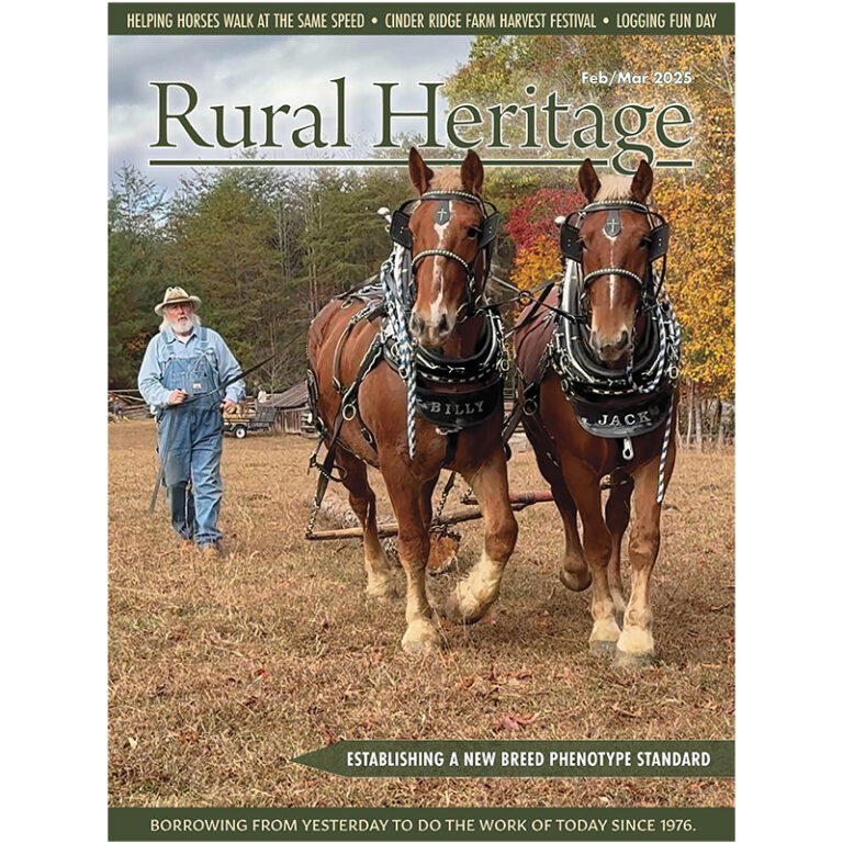 Rural Heritage Magazine Subscriptions Rural Heritage rural-heritage-magazine-subscriptions-rural-heritage