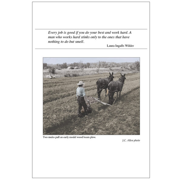 America's Rural Yesterday Appointment Calendar 2026 - Image 3