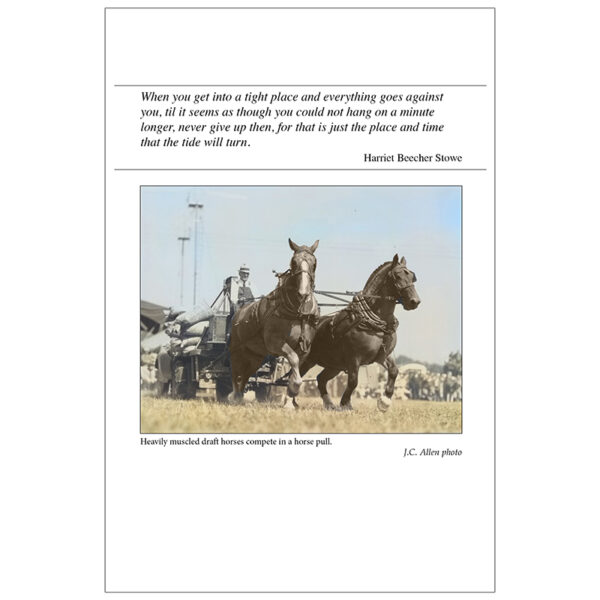 America's Rural Yesterday Appointment Calendar 2026 - Image 6