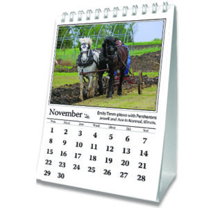 2026 Stand Up Desk Calendar (SHIPPED TO US ADDRESS)