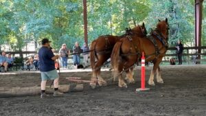 2023 National Suffolk Horse Association Gathering
