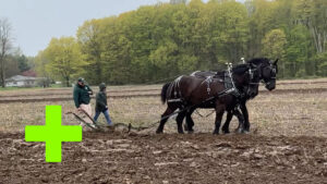 Joel Baldwin Plow Day