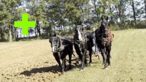 Boonville 2024 Fall Plow Day