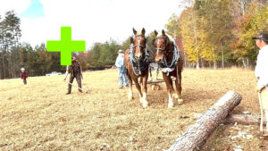 Cinder Ridge Harvest Festival 2024