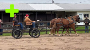 North American Suffolk Gathering 2022