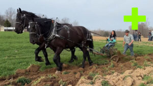 Haste Teamster Clinic