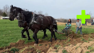 Haste Teamster Clinic