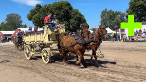 Horses at Midwest Threshers Reunion 2023