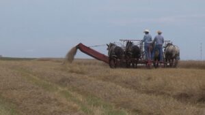 Humboldt Threshing Bee 2017