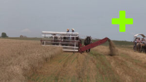Humboldt Threshing Bee 2017