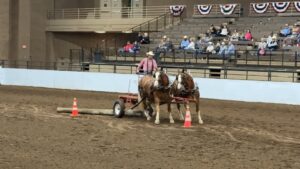 Kansas City Royal Draft Horse Show 2025