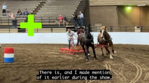 Kansas City Royal Draft Horse Show 2025