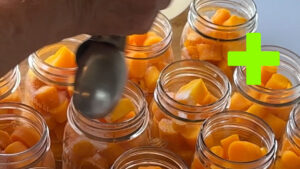 Canning Carrots.com