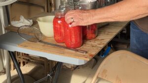 Canning Tomatoes with the Kees