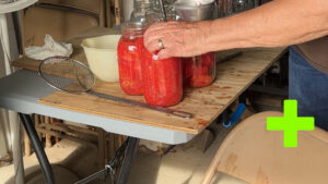 Kees Raise and Preserve Tomatoes