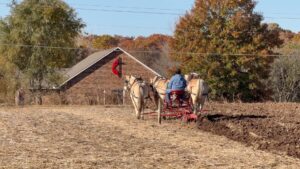 Missouri Draft Horse Association Field Day