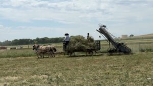 National Stagecoach & Freight Wagon 2025 Haymaking