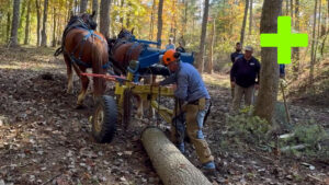 Pidcock Suffolk Logging Day