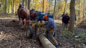 Pidcock Suffolk Logging Day