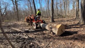 Voelker Logging Day