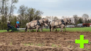 West Michigan Plow Day