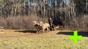 Taylor Johnson Logging with Fjord Team