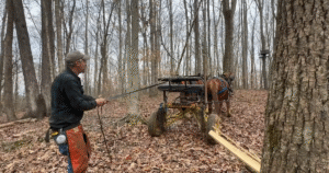 Burgess Logging