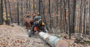Chad Miano Logging