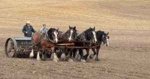 Palouse Empire Planting