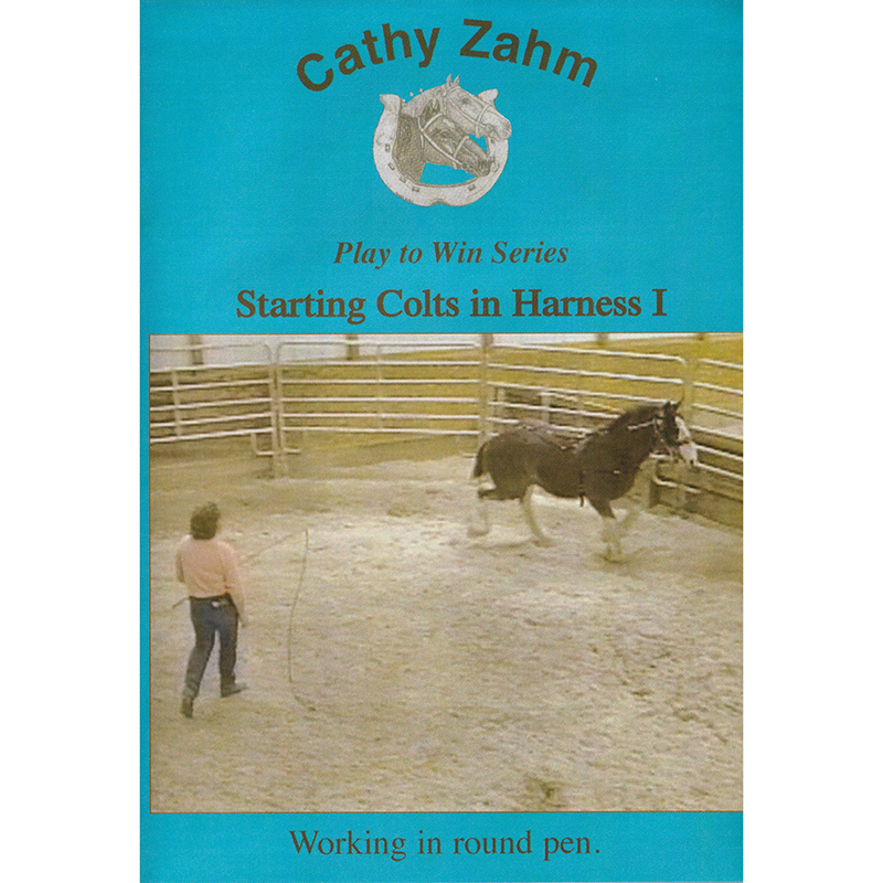 Starting Colts in Harness I