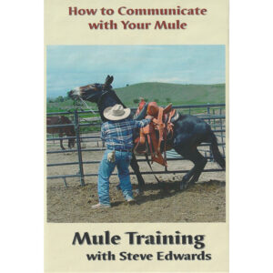 How to Communicate with Your Mule