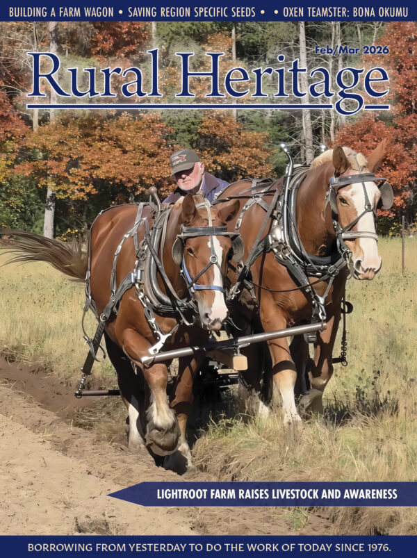 2026 Feb/March (511)