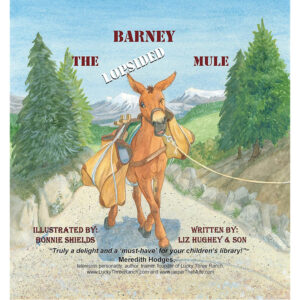 Barney the Lopsided Mule