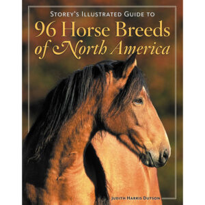 96 Horse Breeds of North America