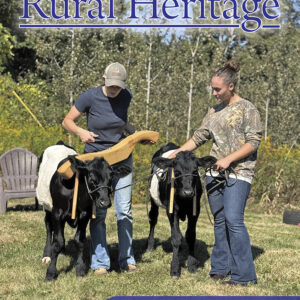 2026 April/May (512)