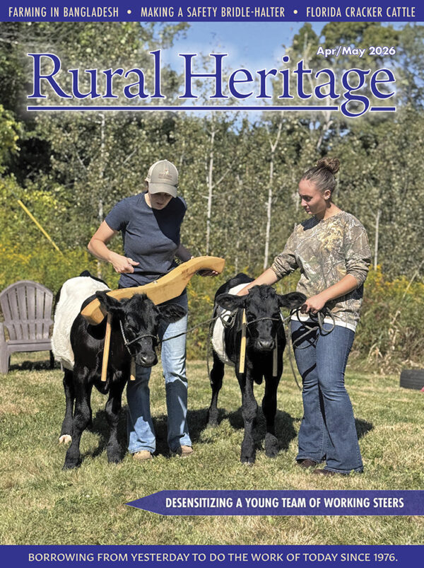 2026 April/May (512)