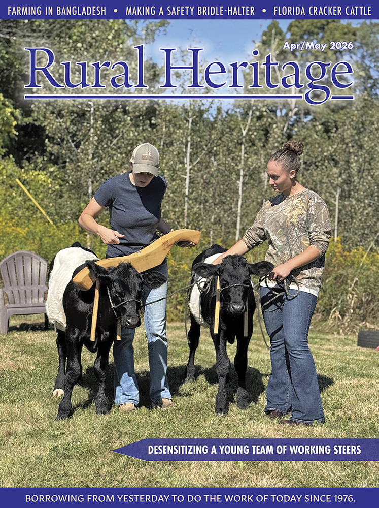 2026 April/May (512)